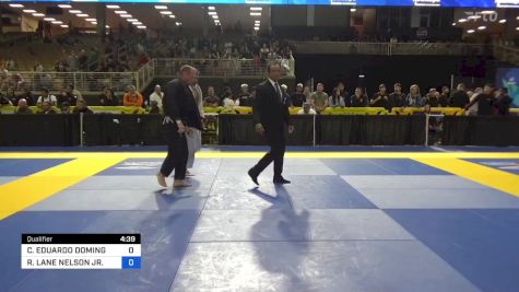 CARLOS EDUARDO DOMINGUES vs RICKY LANE NELSON JR. 2024 Pan Jiu Jitsu IBJJF Championship