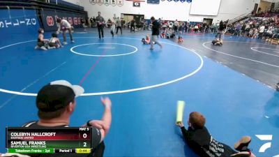 84 lbs Quarterfinal - Colebyn Hallcroft, Eastside United vs Samuel Franks, Riverton USA Wrestling