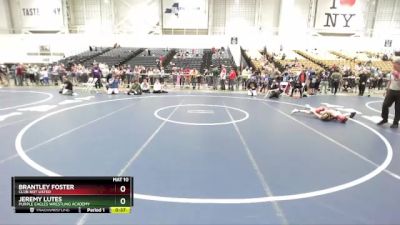 88 lbs Cons. Round 5 - Jeremy Lutes, Purple Eagles Wrestling Academy vs Brantley Foster, Club Not Listed