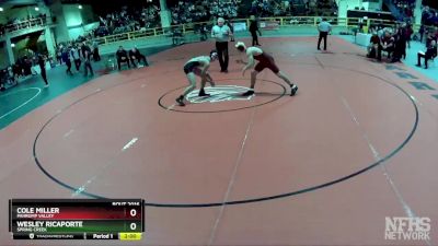 132 lbs Quarterfinal - Wesley Ricaporte, Spring Creek vs Cole Miller, Pahrump Valley