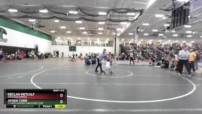 45 lbs Cons. Round 3 - Ayden Carr, U Town Hammers Wrestling Club vs Declan Metcalf, EXCELSIOR SPRINGS