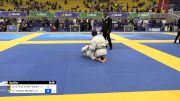 DYLAN STEVEN ARTEAGA vs RAPHAEL VIEIRA MEIRELLES 2024 Brasileiro Jiu-Jitsu IBJJF