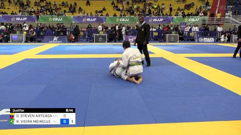 DYLAN STEVEN ARTEAGA vs RAPHAEL VIEIRA MEIRELLES 2024 Brasileiro Jiu-Jitsu IBJJF