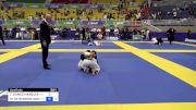 FABIANA GOMES MARQUES vs MARIANA DE RESENDE GOMES 2024 Brasileiro Jiu-Jitsu IBJJF