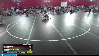 132 lbs Champ. Round 2 - Ryan Frank, Wisconsin vs Walker Gaulrapp, Minnesota