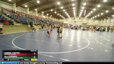 110 lbs Cons. Round 3 - Gabriel Phippen, Box Elder Stingers vs Blu Stephens, Sanderson Wrestling Academy