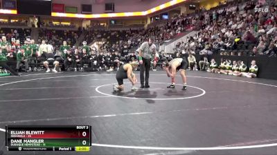 144 lbs Quarterfinal - Elijah Blewitt, Indianola vs Dane Mangler, Dubuque Hempstead