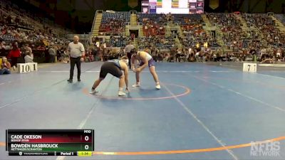 220 lbs Quarterfinal - Cade Okeson, Bishop Ryan vs Bowden Hasbrouck, Hettinger/Scranton