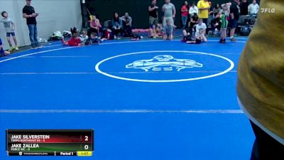 52 lbs Round 3 (8 Team) - Jake Silverstein, Terps Northeast ES vs Jake Zallea, Force WC