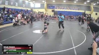 52 lbs Quarterfinal - RyLee France, Spartanburg Wrestling Academy vs Brett D`Ettore, C2X