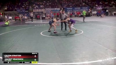 D 1 113 lbs Champ. Round 1 - Colton Stratton, Benton vs Vincent Vidacovich, Holy Cross