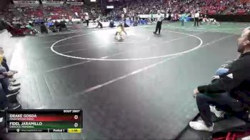 D2-113 lbs Champ. Round 1 - Drake Gosda, Mauston/Necedah vs Fidel Jaramillo, Catholic Memorial
