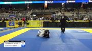 FÁBIO HENRIQUE MENDES ALVES vs VITOR CRIZEL ALMEIDA 2024 Pan Jiu Jitsu IBJJF Championship