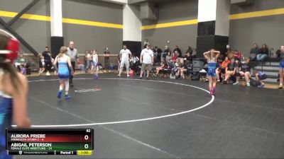 82 lbs Round 2 (4 Team) - Piper Phillips, Female Elite Wrestling vs Cecelia Johnson, Minnesota Storm 2