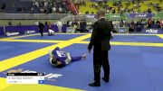 ALEXANDRE QUEIROZ SOARES vs JOSEPH CHUNG-HO KIM 2024 Brasileiro Jiu-Jitsu IBJJF