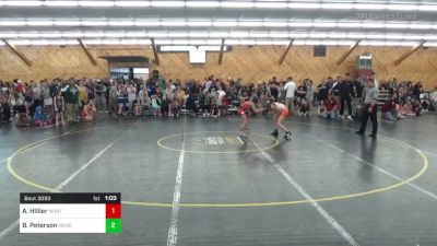 95 lbs Semifinal - Alana Hillier, Montrose vs Bella Peterson, Mehoopany