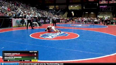 6A-132 lbs 3rd Place Match - Ramon Castillo, Jackson County vs Brandon Bringer, South Effingham