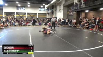 136 lbs Round 3 (6 Team) - Ellie Brennerman, Valkyrie Of Goldfinch vs Aja Watson, Missouri Black