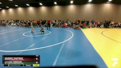 74-77 lbs Round 2 - Journey Martinez, Warhawk Wrestling Academy vs Lilyiana Erekson, All American Wrestling Club