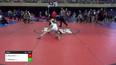 85 lbs Semifinal - Alex Marchetti, Waverly Twp, PA vs Hunter Webster, New Hope, PA