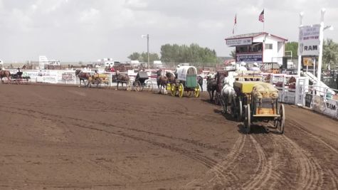 Perf 3: Medicine Hat Exhibition & Stampede