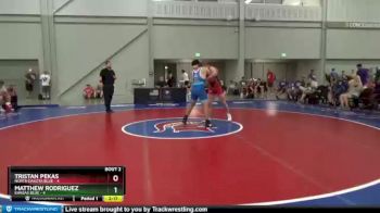 182 lbs Quarterfinals (8 Team) - Tristan Pekas, North Dakota Blue vs Matthew Rodriguez, Kansas Blue