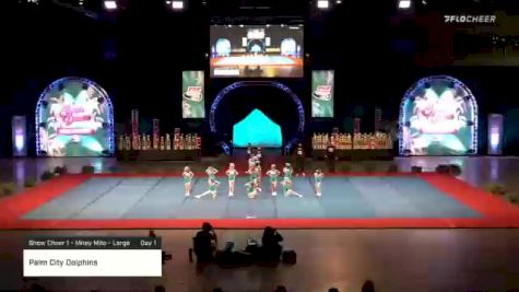 Palm City Dolphins [2020 Show Cheer 1 - Mitey Mite - Large Day 1] 2020 Pop Warner National Cheer & Dance Championship