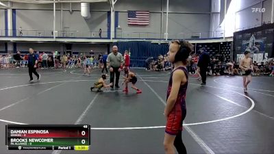 48 lbs Finals (2 Team) - Damian Espinosa, Kraken vs Brooks Newcomer, PA Alliance