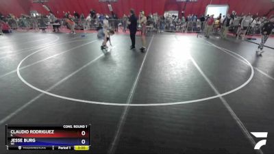 138 lbs Cons. Round 1 - Claudio Rodriguez, IL vs Jesse Burg, WI