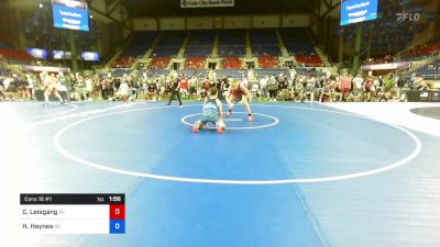 220 lbs Cons 16 #1 - Cael Leisgang, Wisconsin vs Hayden Haynes, North Carolina