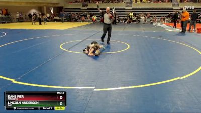 45 lbs Quarterfinal - Dane Fier, Minneota vs Lincoln Anderson, DGF