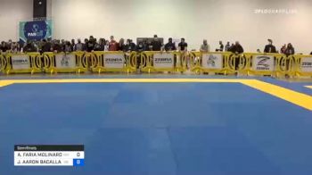 ALEXANDRE FARIA MOLINARO vs JOSHUA AARON BACALLAO 2020 IBJJF Pan No-Gi Championship