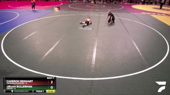 45 lbs Semis & 1st Wrestleback (8 Team) - Cameron Reinhart, Caledonia/Houston vs Urijah Bullerman, Adrian