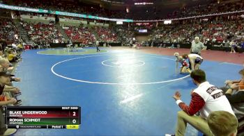 D3-106 lbs Quarterfinal - Blake Underwood, Marathon vs Roman Schmidt, Stratford