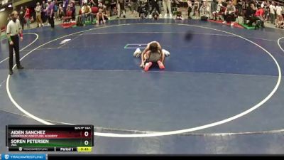 50 lbs Quarterfinal - Aiden Sanchez, Sanderson Wrestling Academy vs Soren Petersen, JWC