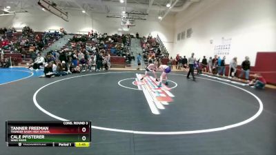 113 lbs Cons. Round 3 - Tanner Freeman, Thunder Basin High School vs Cale Pfisterer, Wind River