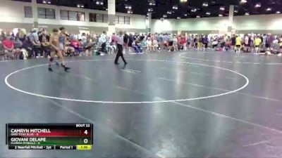 113 lbs Round 3 (16 Team) - Camryn Mitchell, Ohio Titan Blue vs Giovani Delape, Florida Pitbulls