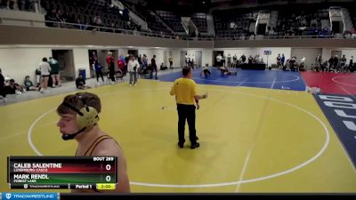 220 lbs Champ. Round 2 - Mark Rendl, Forest Lake vs Caleb Salentine, Luxemburg-Casco