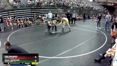 160 lbs Semis & 1st Wrestleback (8 Team) - Noah Gonzalez, Kansas Cobra vs Trig Brandes, Nebraska Maize