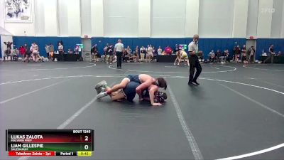 175 lbs Cons. Round 2 - Lukas Zalota, Malvern Prep vs Liam Gillespie, Salesianum