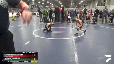 61 lbs Cons. Round 5 - Camden Bergstrom, Byron Center vs Jayden Tokarski, Dansville WC