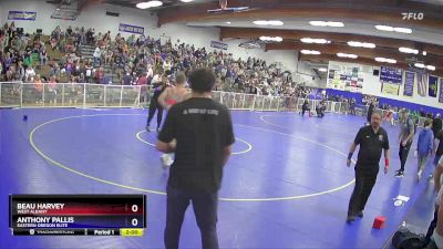 150 lbs Quarterfinal - Beau Harvey, West Albany vs Anthony Pallis, Eastern Oregon Elite