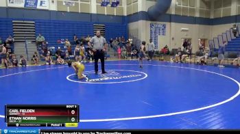 84 lbs Round 2 (4 Team) - Ethan Norris, Delta vs Carl Fielden, Garrett