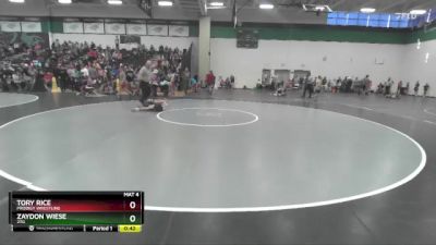 65 lbs Quarterfinal - Zaydon Wiese, 2TG vs Tory Rice, Prodigy Wrestling