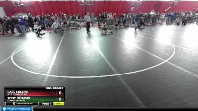 71 lbs Cons. Round 3 - Cael Collins, DC Elite Wrestling vs Tony Distasio, Lemont Bears WC