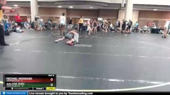 91 lbs Round 4 (6 Team) - Aaliyah Svec, Team Palmetto vs Michael Woodard, Haywood Elite