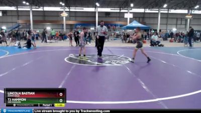 92 lbs Round 2 - Lincoln Bastian, Idaho Gold vs TJ Hammon, 208 Badgers