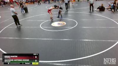 3A 138 lbs Quarterfinal - Ridge Martin, Palmetto vs Raymond Antonio McKnight, Beaufort