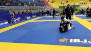 RAFAEL ALVES LEITE vs ALDO ALESSANDRO VERDELLI RAMOS 2024 Brasileiro Jiu-Jitsu IBJJF