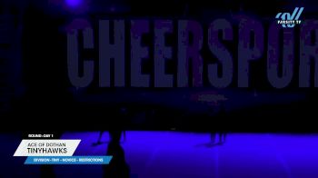 ACE of Dothan - Tinyhawks [2024 L1 Tiny - Novice - Restrictions Day 1] 2024 CHEERSPORT Atlanta Classic